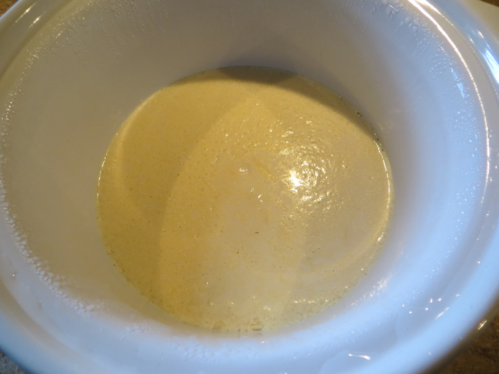 crockpot yogurt 1