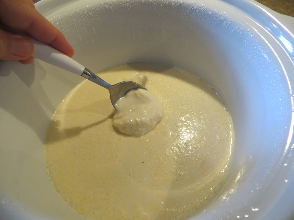 crockpot yogurt 3