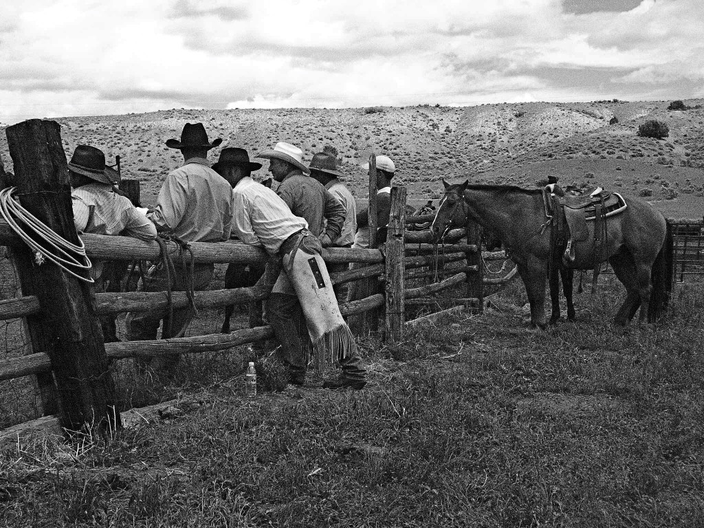 cowboy fence