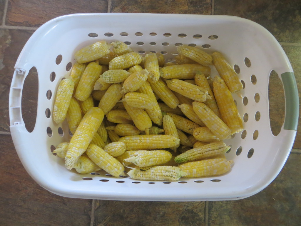 corn basket