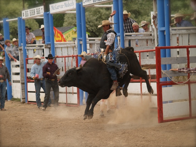 rodeo5