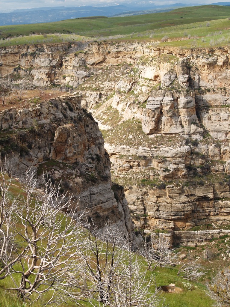 Otter Creek Canyon