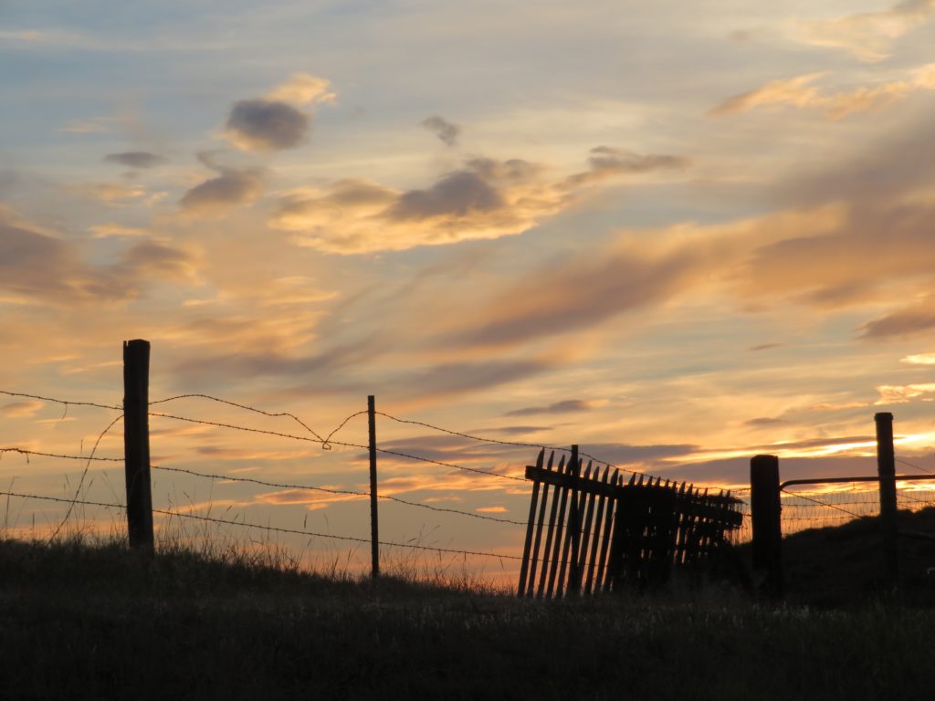 sunset fence