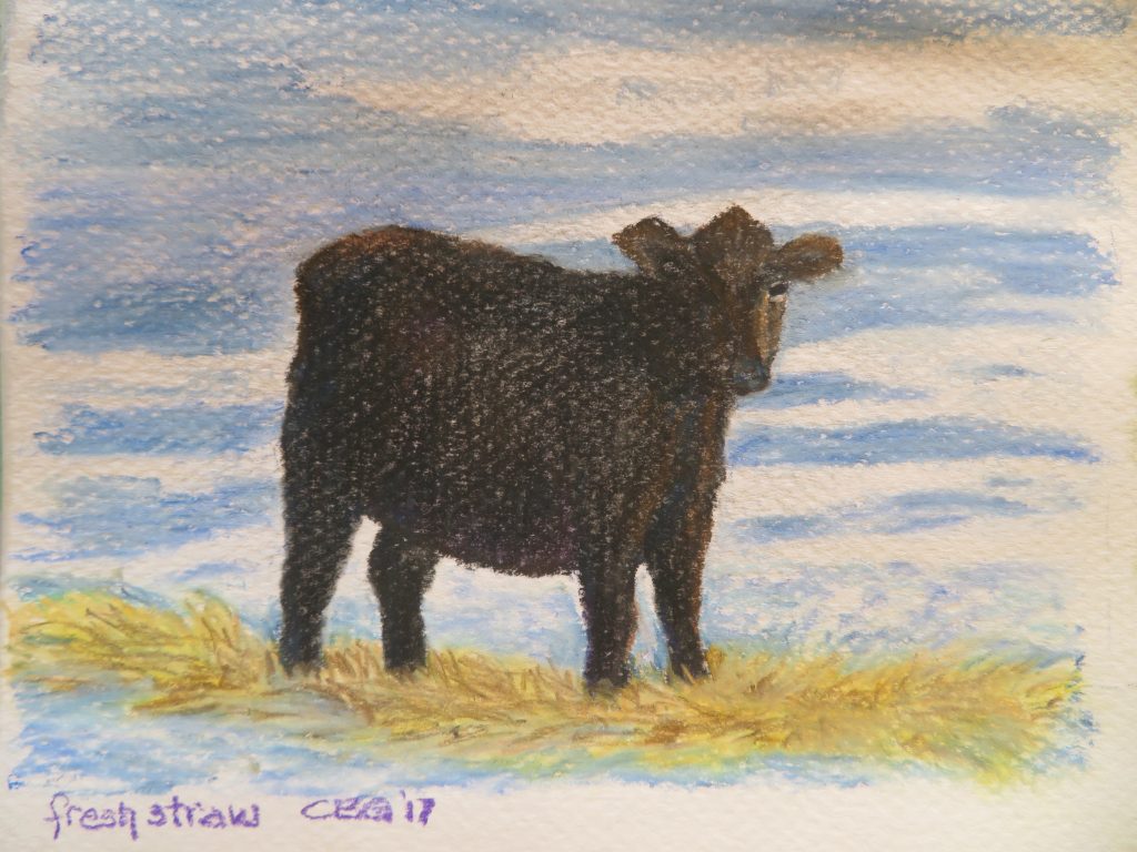 pastel cow