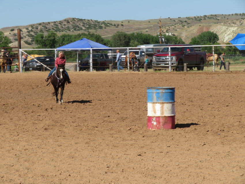 how to become a barrel racer professionally