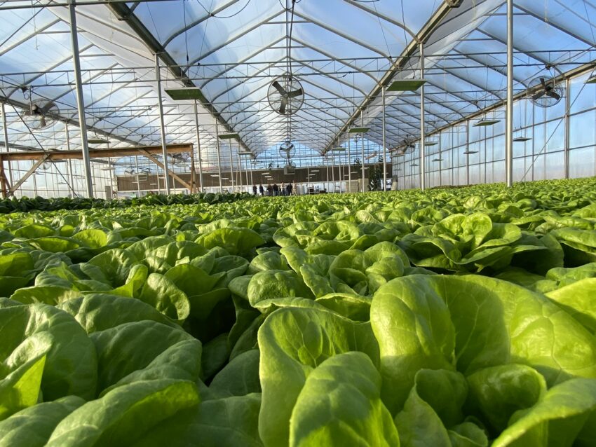 Greybull Valley Produce Tour